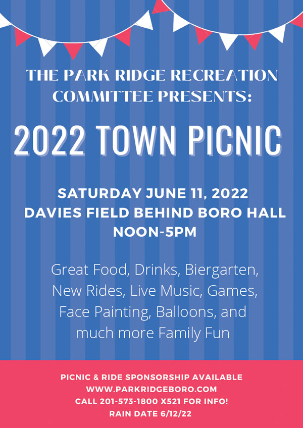 town picnic flyer